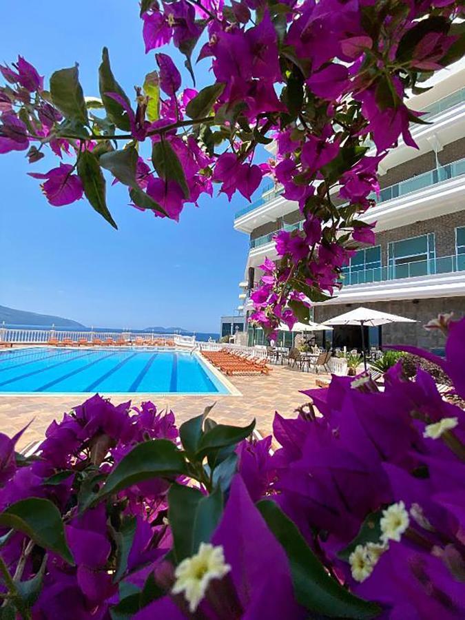 Hotell Toto & 4*